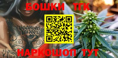гидра Беслан