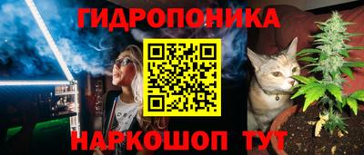 гидра Беслан