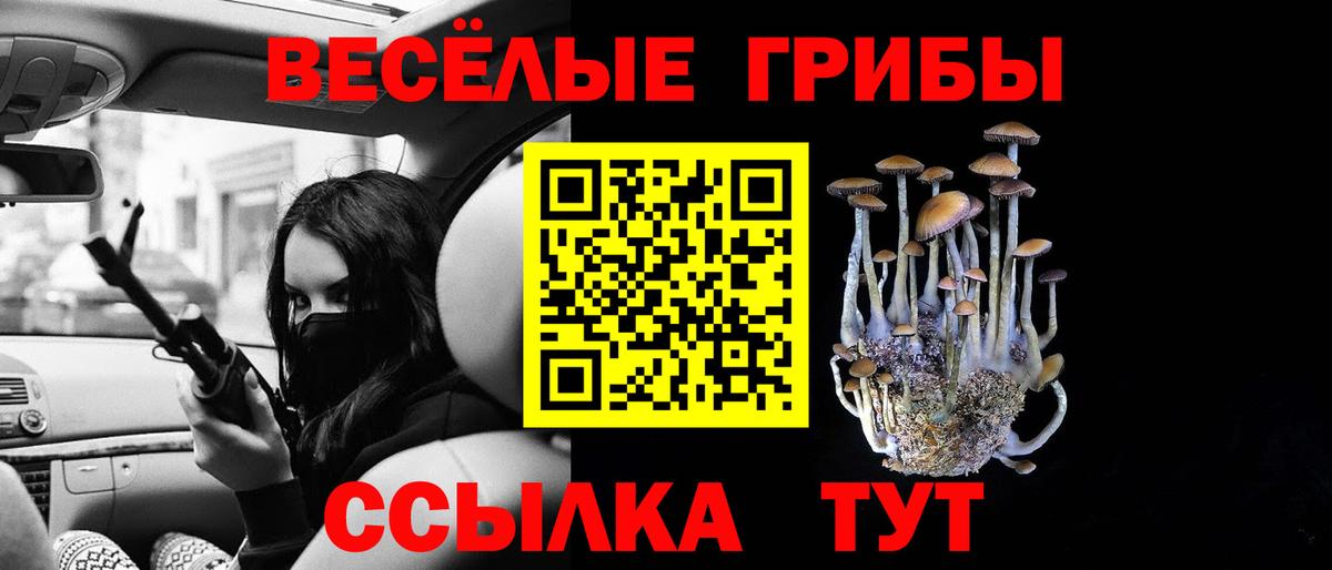Псилоцибиновые грибы MAGIC MUSHROOMS Зерноград